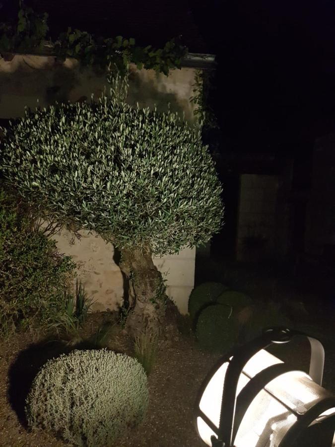 Le Clos Falaw Azay-sur-Cher 外观 照片