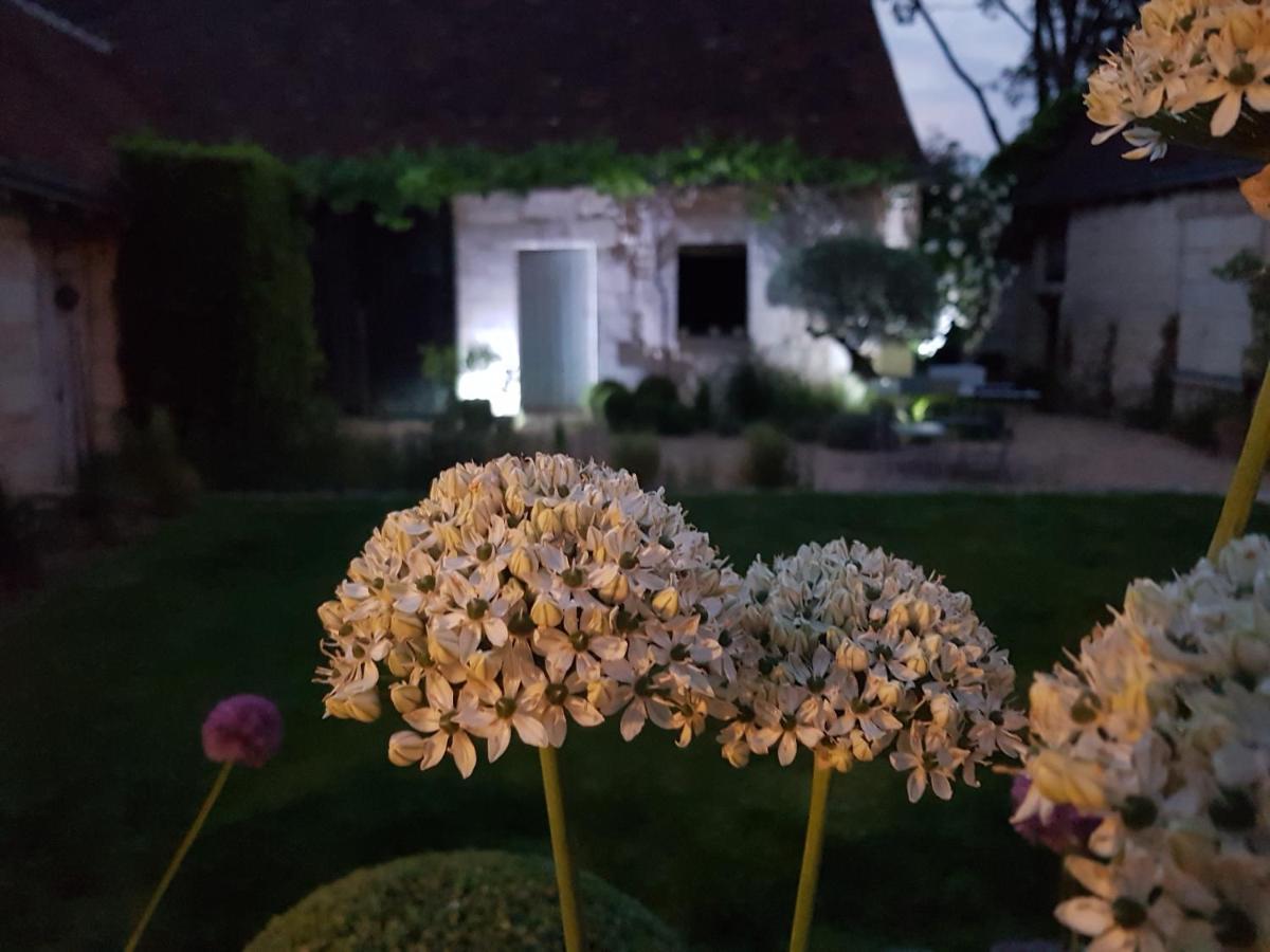 Le Clos Falaw Azay-sur-Cher 外观 照片